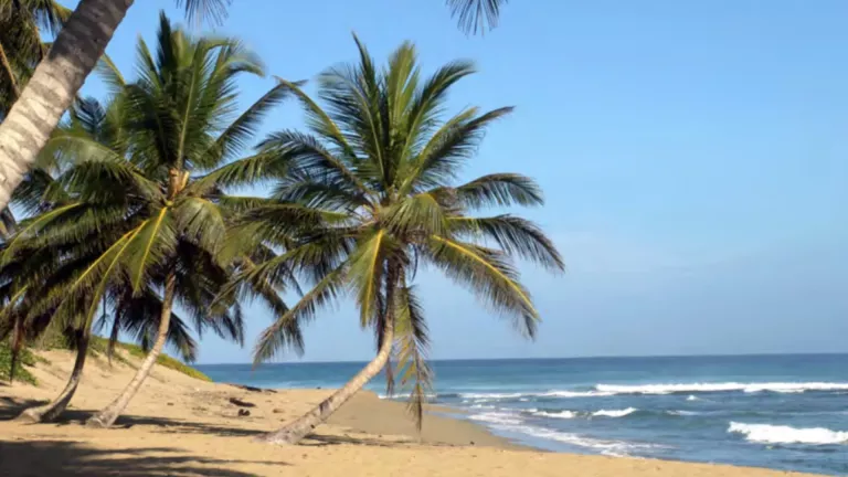 Real estate: Unique Oceanfront 123 Acre Vacant Land in Encuentro Beach, for sale in the Dominican Republic